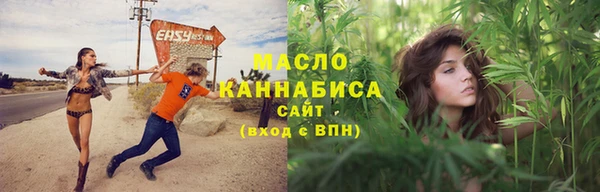 дмт Богородицк