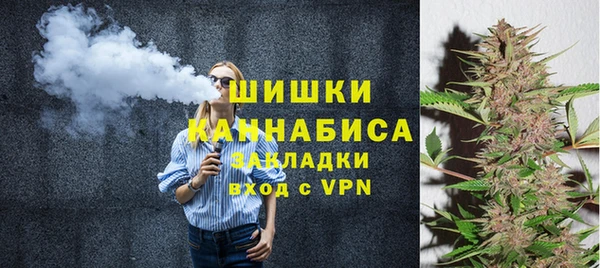 мдпв Богородск