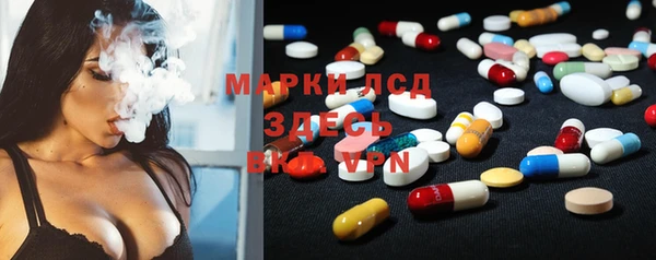 стаф Богданович