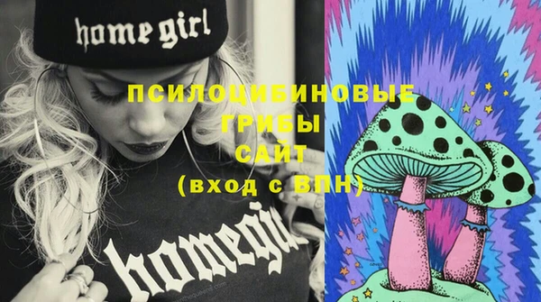 стаф Богданович