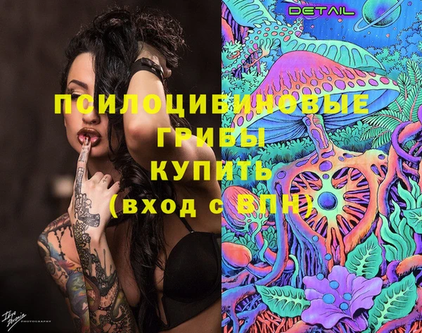 мдпв Богородск