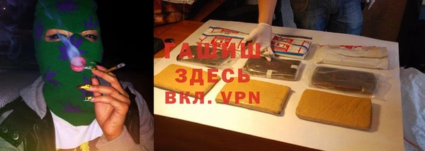 мдпв Богородск