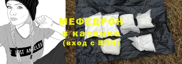 стаф Богданович