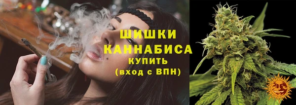 дмт Богородицк